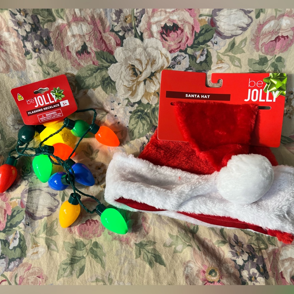 Red Santa Hat for Kids
